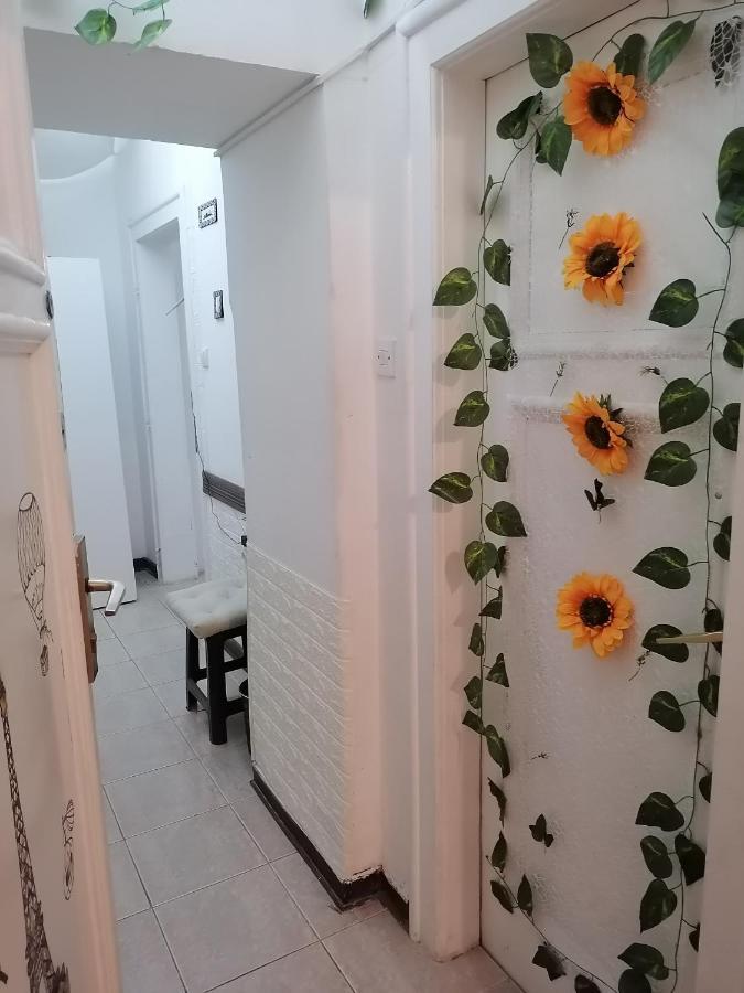 Low Cost Apartment Βελιγράδι Εξωτερικό φωτογραφία